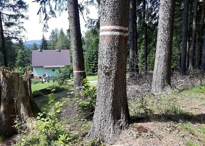 Lipno